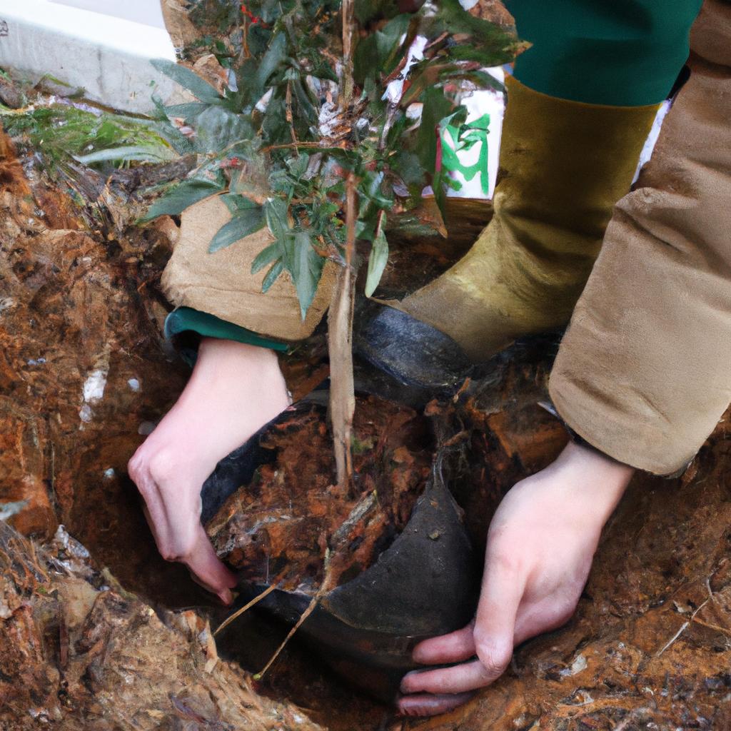 Person planting trees in urban area